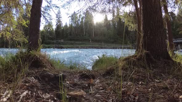 Meadow at Mountain River Bank. Landscape with Green Grass, Pine Trees and Sun Rays. Movement on