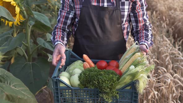 An agronomist in an agricultural field walks with a full box of vegetables.