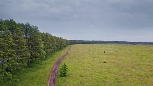 Aerial View to Green Spring Landscape with Meadow