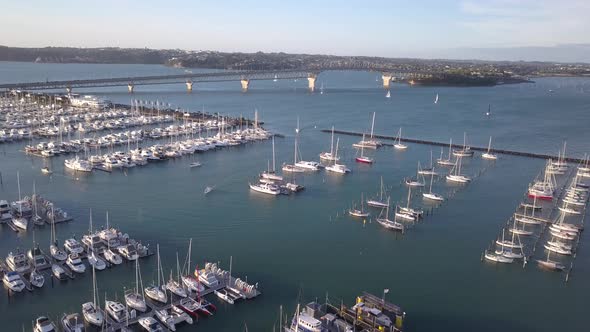 Viaduct Harbour, Auckland New Zealand