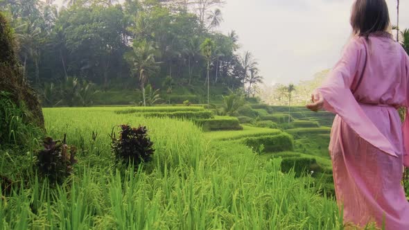 Young Woman in Pink Kimono Walking in Rice Fields Bali. Fashion Style