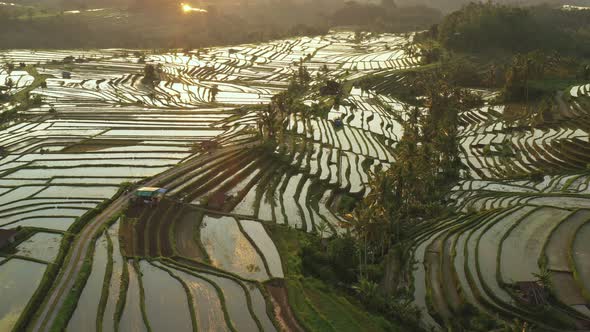 Aerial video in an amazing landscape rice field on Jatiluwih Rice Terraces, Bali, Indonesia