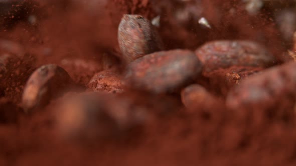 Falling Cocoa Beans Into Cocoa in Super Slow Motion