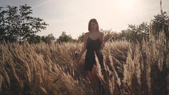 Beautiful Young Woman Walks in the Field Collects a Bouquet of Flowers and Spikelets