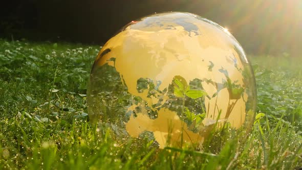 Earth Day. Ecological concept. Glass globe in green grass