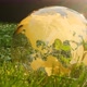 Earth Day. Ecological concept. Glass globe in green grass - VideoHive Item for Sale