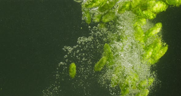 Green Hops Falling Into Water