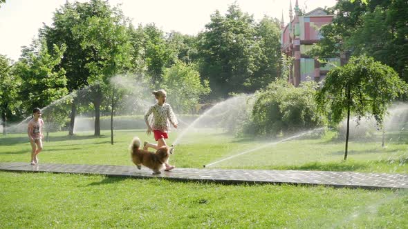 Girls Playing With The Dog At The Park 11