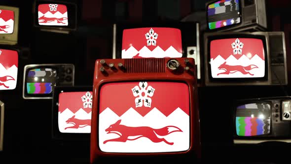 Flag of Leicestershire, England, on Retro TVs. / Videohive, Stock footage, Technology