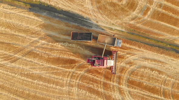 Aerial Top View of Combine Harvester Pours Grain Into the Back of a Truck
