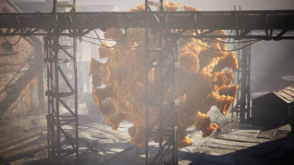 Coronavirus COVID 19 Quarantine on Empty City Streets alt