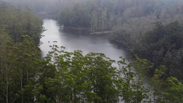 Lake in the Forest