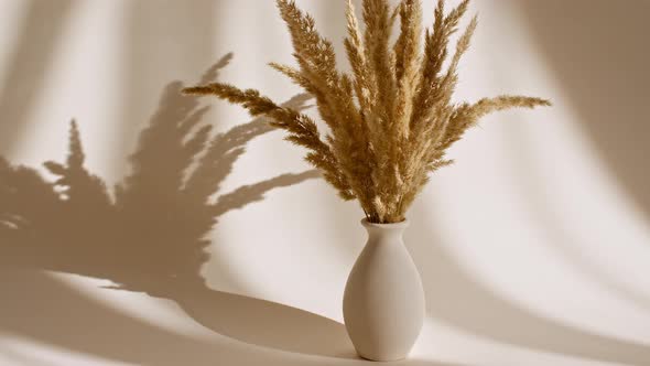 Golden Dried Flowers are in a Vase