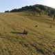 Aerial view of a autumn field with round haystacks - VideoHive Item for Sale