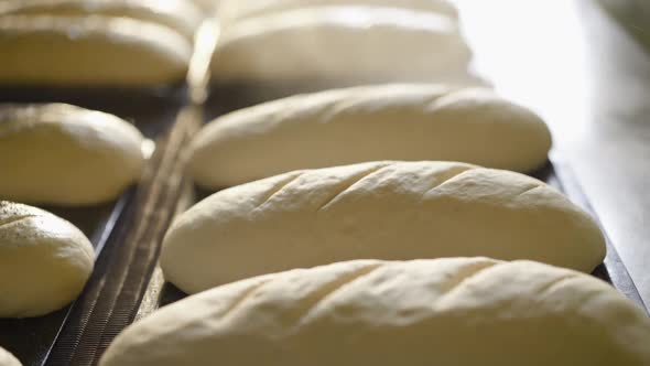 Process of Spraying and Sprinkling Poppy Seeds on Raw Loaves Before Baking