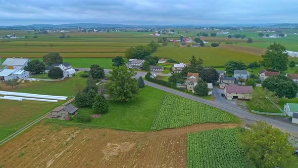 Aerial Traveling View of Corn Fields and Harvesting Crops, with Patches of Color