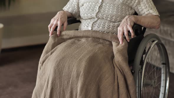 Senior Woman Sit on Wheelchair and Looks at the Camera