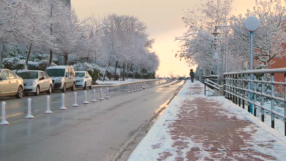 City and Snow