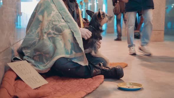 A Tramp is Sitting on the Street and Stroking a Dog