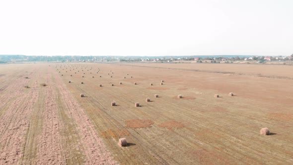 Hay field with round haystacks