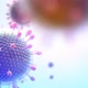 Covid19 Coronavirus Paramyxovirus Mumps  Closeup of Virus Under Microscope - VideoHive Item for Sale