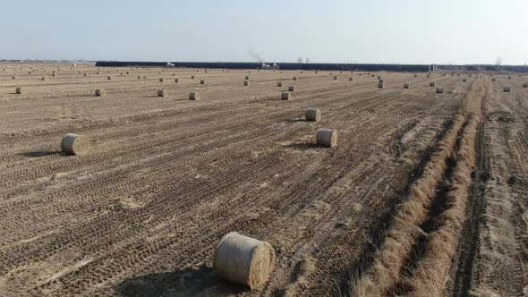 The plough after the winter harvest was heavy with grass