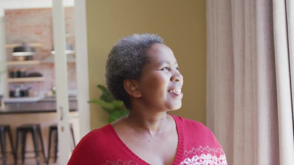 Portrait of happy african american woman looking through the window