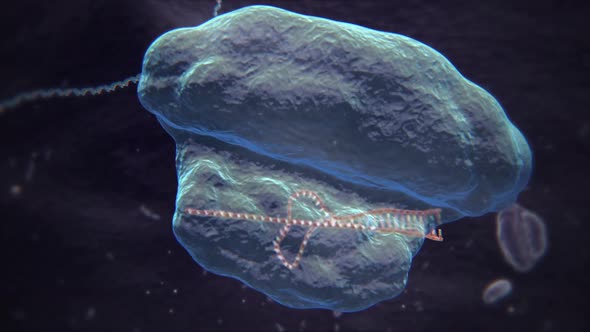 Dna Editing, Repair, Engineering. Extraction Of Segements.