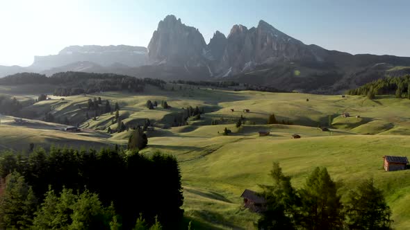 Drone Flying Over Pine Trees at Alpe di Suisi Meadow in the Dolomites Italy Alps