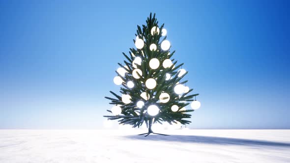 Christmas Tree And Snowy Floor