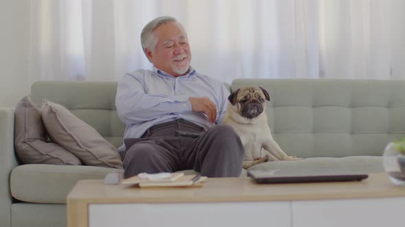 Asian Elderly man with white hairs sit on sofa and playing with dog pug breed at home