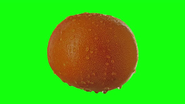 Tasty and Wet Orange on Green Screen for Chroma Key