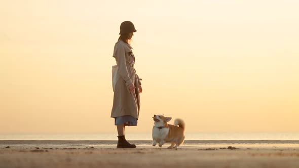 Woman and Dog Enjoying Lifestyle By Standing on Seashore During Evening Sunset Spbi