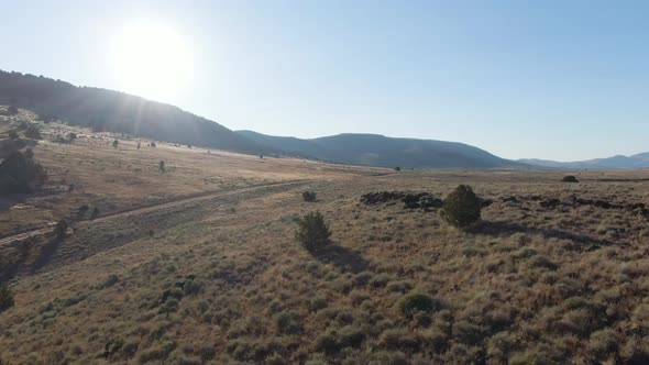 High Desert Landscape