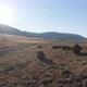 High Desert Landscape - VideoHive Item for Sale