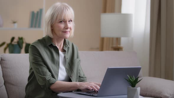 Middle Aged Shocked Amazed Exited Business Woman Working Distant with Laptop Feel Surprise