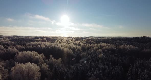 Aeria Winter Frosty Landscape