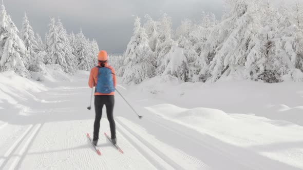 A Crosscountry Skier Skies Down a Trail in a Snowcovered Winter Landscape with Trees