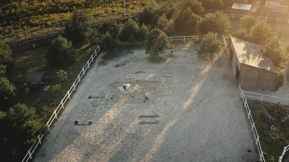 Horse Run with Rider on Horseback Aerial