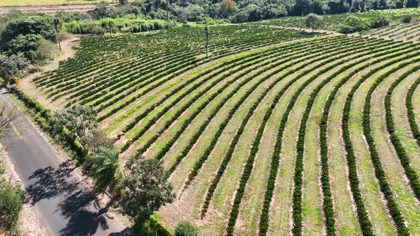 Countryside scenic aerial landscape. Rural life scenery.