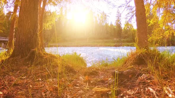 Meadow at Mountain River Bank