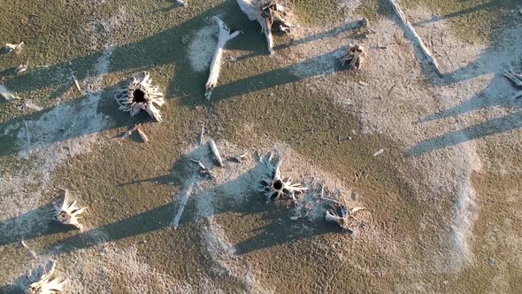 Aerial drone footage towards the end of summer at Alder Lake in Washington State USA.  Here we see a