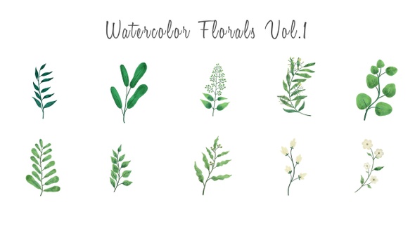 Watercolor floral elements Vol.1