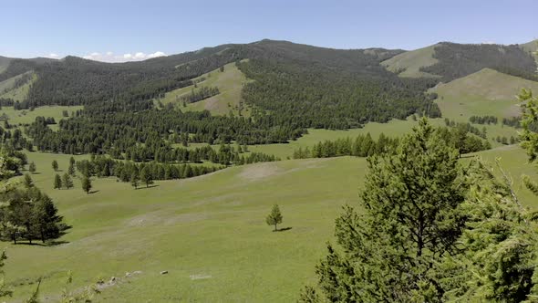 Green Meadows in The Sparsely Wooded Between Forest Covered Hills with Aerial View