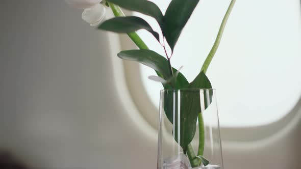 Hand Putting Water Glass on Table Closeup