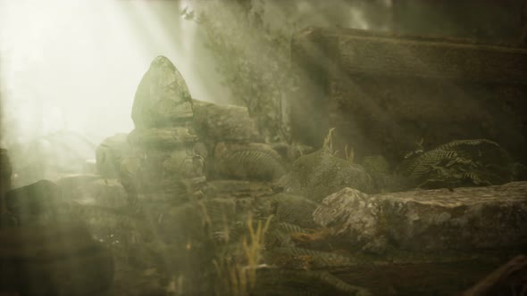 Hoary Ruins of Ancient City in Pine Forest alt