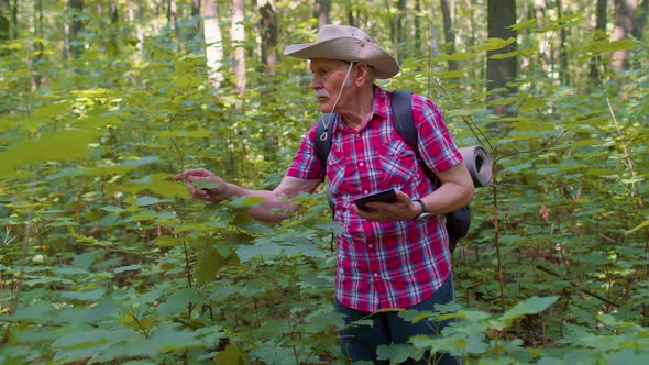 Active Senior Elderly Grandfather Adventurer Exploring Forest Trees Plants with Her Digital Tablet