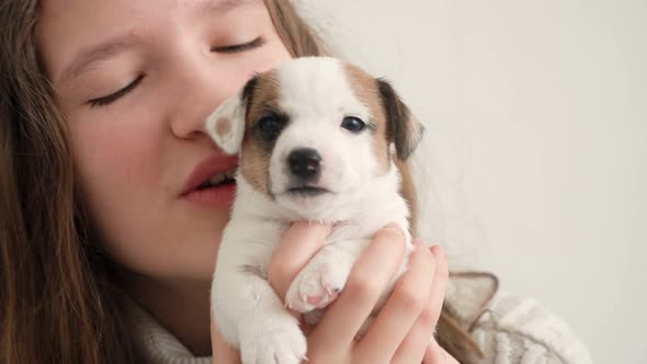 Girl Petting and Playing with a Small Puppy