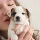 Girl Petting and Playing with a Small Puppy - VideoHive Item for Sale
