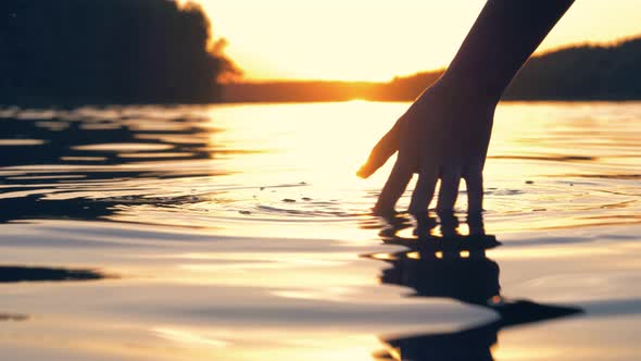 Hand Gently Touches The Surface Of The Water In The Pond At The Golden Sunset